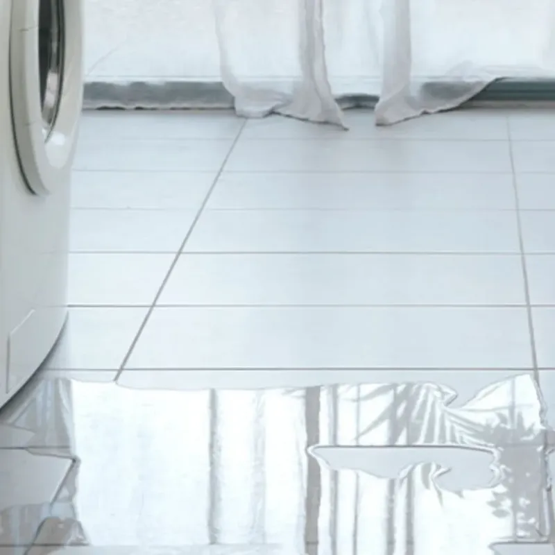 Appliance Leak Cleanup in Lexington, TN