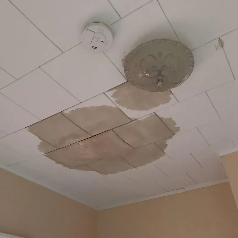 Ceiling Water Damage Repair in Lexington, TN