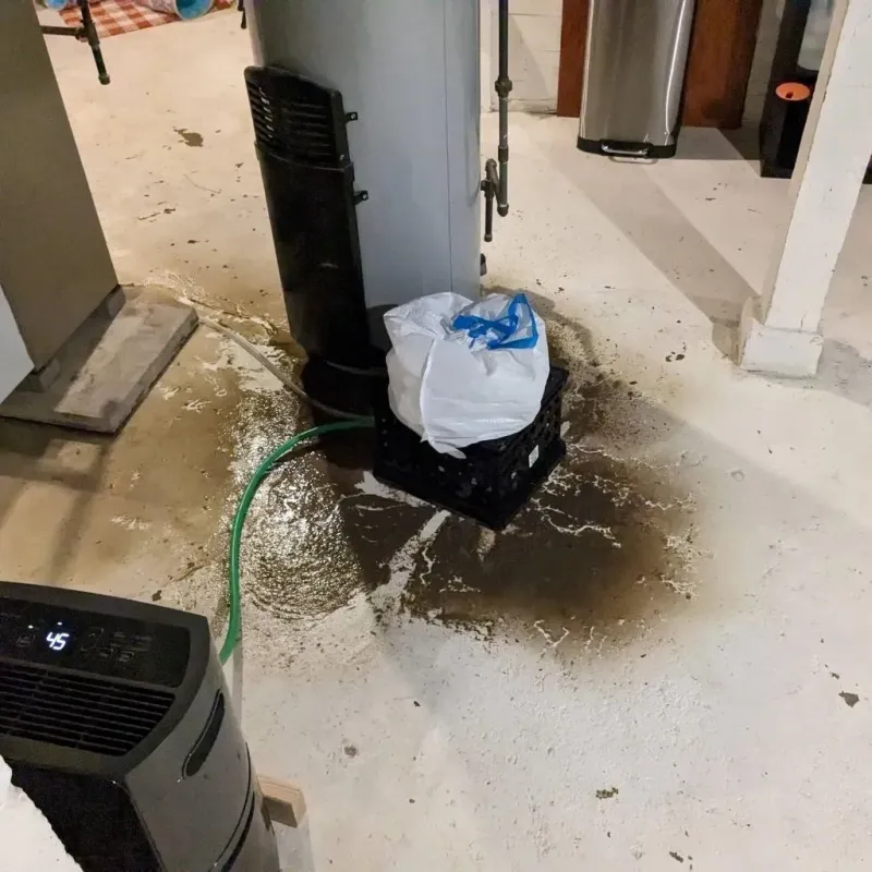 Sewage Backup Cleanup Service in Lexington, TN